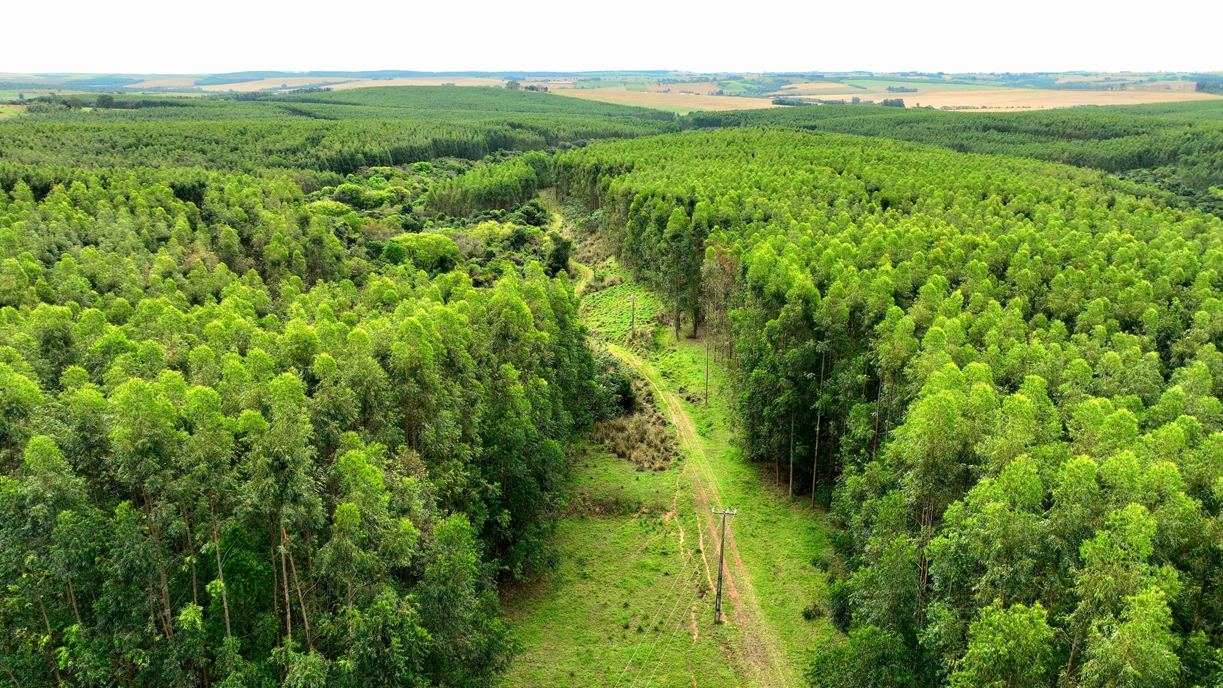 dji_fly_20230905_133052_3_1693931899553_photo - Copia.jpg